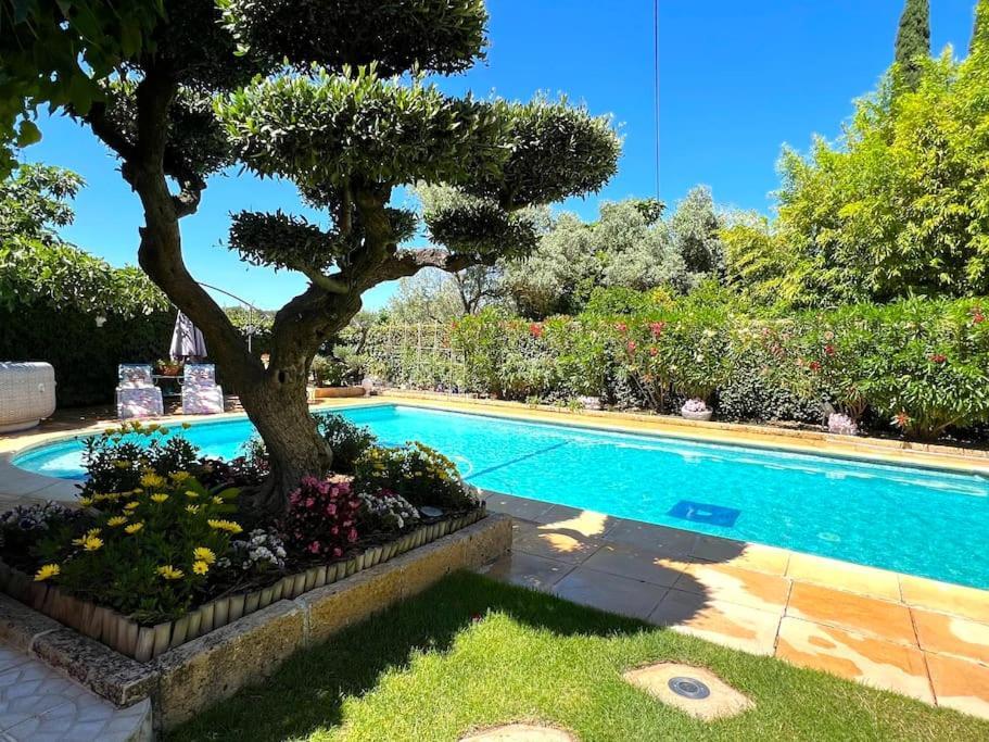 Le Jardin De Mae * Bouc-Bel-Air